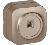 Розетка телефонная IEK GLORY RJ11 о/у РТ20-ХШм шампань матовый ETH10-K37M