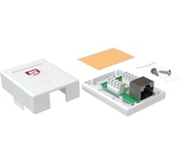 Розетка компьютерная SYSMATRIX RJ-45, категория 5e, экранированная, одинарная, внешняя, Dual IDC, цвет белый, 3 шт. в упаковке SB 15ES,WH,VI3