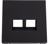 Накладка двойная для информационных функций типа Keystone Systeme Electric ARTGALLERY карбон GAL001090