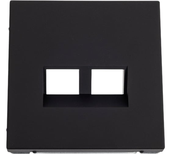 Накладка двойная для информационных функций типа Keystone Systeme Electric ARTGALLERY карбон GAL001090 1