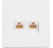 Розетка двойная компьютерная Systeme Electric ARTGALLERY RJ45+RJ45, кат. 5е, механизм, лотос GAL001385
