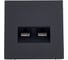 Розетка двойная компьютерная Systeme Electric ARTGALLERY RJ45+RJ45, кат. 5е, механизм, карбон GAL001085 1