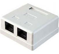 Внешняя розетка GCR Greenaccessories RJ-45 UTP 5e категория, 1порт+ RJ-11 Phone, VIVRJI45-5E+RJ11-1/1