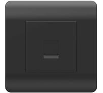 Розетка телефонная CHINT (NEW3-E) 1xRJ11, черный 431489