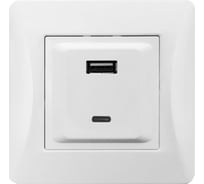 Розетка SPL 2xUSB A/C, 125-250V (белый) 204007