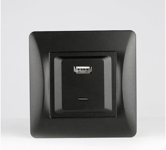 Розетка SPL 2xUSB A/C, 125-250V (антрацит) 204027 1