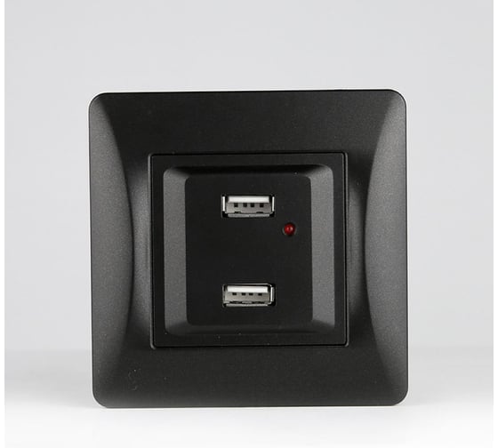 Розетка SPL 2xUSB A, 125-250V (антрацит) 204026 1