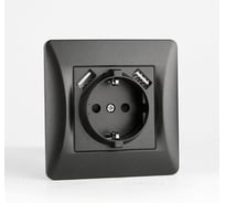 Розетка электрическая SPL 2К+З/2xUSB A, 125-250V (антрацит) 205024