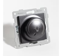 Светорегулятор поворотный SPL диммер для светодиодных ламп, 125-250V, 200W антрацит 205161