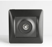 TV розетка SPL одиночная, антрацит 204020