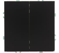 Переключатель STEKKER Эмили 2-клавишный (механизм), СЗК, 250В, 10А, RSW10-5107-05ZK, черный уголь, soft touch 50249