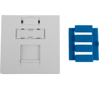 Модуль адаптер лицевая панель роз. информ., 45x45, RJ, 1 вход, белый Gigant 87013-1GI
