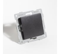 Переключатель одноклавишный, 10А, 220-250V SPL антрацит 205123