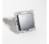 Выключатель самовозвратный звонкового типа SPL 10А, 220-250V антрацит 203126