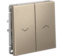 Выключатель для жалюзи 2-клавишный ArtGallery Systeme Electric 10 АХ механизм быстрозажимные клеммы Шампань GAL000519S