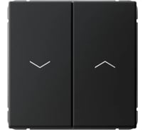 Выключатель для жалюзи Systeme Electric ARTGALLERY 2-клавишный, 2х сх.4, 10А, механизм, быстрозажим. клем., карбон GAL001019S