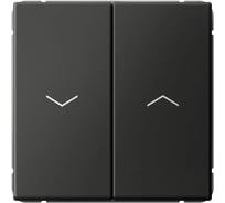 Выключатель для жалюзи Systeme Electric ARTGALLERY 2-клавишный, 2х сх.4, 10А, механизм, быстрозажим. клем., базальт GAL001419S