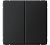 Выключатель кнопочный Systeme Electric ARTGALLERY 2-клавишный, 10АХ, механизм, быстрозажим. клем., карбон GAL001017S