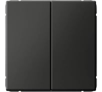 Выключатель кнопочный Systeme Electric ARTGALLERY 2-клавишный, 10АХ, механизм, быстрозажим. клем., базальт GAL001417S