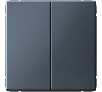 Выключатель кнопочный Systeme Electric ARTGALLERY 2-клавишный, 10АХ, механизм, быстрозажим. клем., грифель GAL000717S