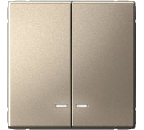 Выключатель с подсветкой 2-клавишный ArtGallery Systeme Electric 10 АХ, механизм, быстрозажимные клеммы, Шампань GAL000553S