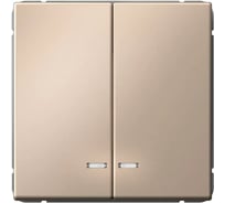 Выключатель с подсветкой 2-клавишный ArtGallery Systeme Electric 10 АХ, механизм, быстрозажимные клеммы, Песочный GAL001253S