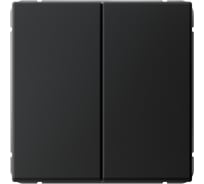 Выключатель 2-клавишный ArtGallery Systeme Electric 10 АХ, механизм, быстрозажимные клеммы, Карбон GAL001051S