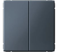 Переключатель Systeme Electric ARTGALLERY 2-клавишный, 10АХ, механизм, быстрозажим. клем., грифель GAL000765S