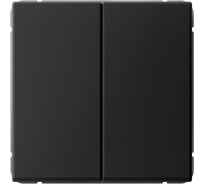 Переключатель Systeme Electric ARTGALLERY 2-клавишный, 10АХ, механизм, быстрозажим. клем., карбон GAL001065S