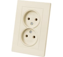 Розетка двойная TDM ELECTRIC 2П 10А 250В сл. кость "Сенеж" SQ1816-0134