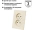 Розетка двойная TDM ELECTRIC 2П 10А 250В сл. кость "Сенеж" SQ1816-0134 4