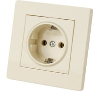 Розетка TDM ELECTRIC 2П+З 16А 250В сл. кость "Сенеж" SQ1816-0132