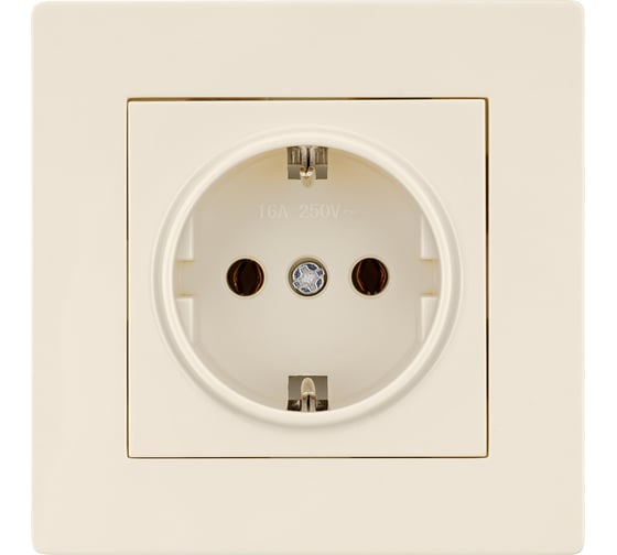 Розетка TDM 2П+З 16А 250В сл. кость "Сенеж" SQ1816-0132