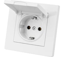 Розетка TDM ELECTRIC 2П+З 16А 250В IP44 с крышкой белая "Сенеж" SQ1816-0038
