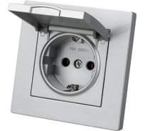 Розетка TDM ELECTRIC 2П+З 16А 250В IP44 с крышкой серебр. металлик "Сенеж" SQ1816-0238