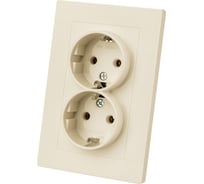 Розетка двойная TDM ELECTRIC 2П+З 16А 250В сл. кость "Сенеж" SQ1816-0136