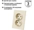 Розетка двойная TDM ELECTRIC 2П+З 16А 250В сл. кость "Сенеж" SQ1816-0136 4