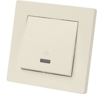 Выключатель TDM ELECTRIC на 2 направления 1 кл. с подсветкой 10А сл. кость "Сенеж" SQ1816-0117