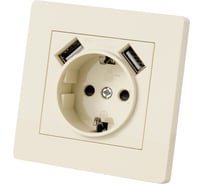 Розетка TDM ELECTRIC 2П+З 16А 250В + 2 USB порта 2,1А 5В сл. кость "Сенеж" SQ1816-0153