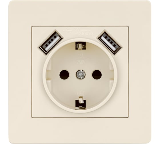 Розетка TDM 2П+З 16А 250В + 2 USB порта 2,1А 5В сл. кость "Сенеж" SQ1816-0153