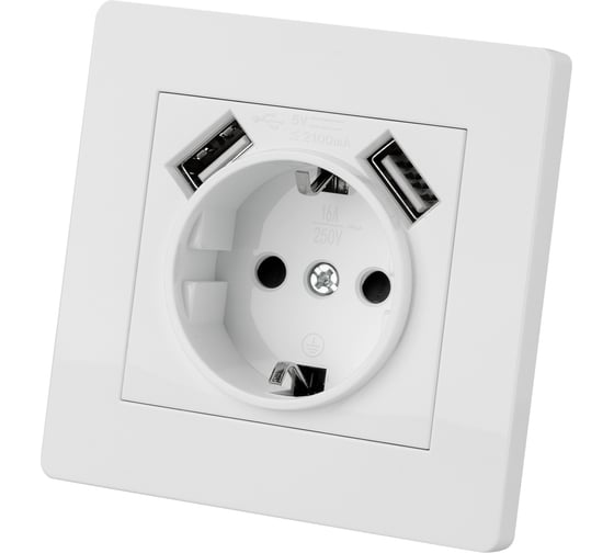 Розетка TDM 2П+З 16А 250В + 2 USB порта 2,1А 5В белая "Сенеж" SQ1816-0053