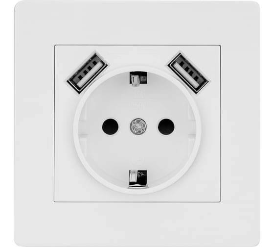Розетка TDM 2П+З 16А 250В + 2 USB порта 2,1А 5В белая "Сенеж" SQ1816-0053