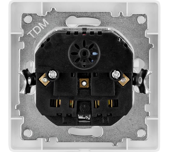 Розетка TDM 2П+З 16А 250В + 2 USB порта 2,1А 5В белая "Сенеж" SQ1816-0053