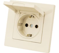 Розетка TDM ELECTRIC 2П+З 16А 250В IP44 с крышкой сл. кость "Сенеж" SQ1816-0138