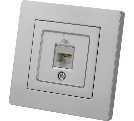 Розетка TDM компьютерная RJ45 серебр. металлик "Сенеж" SQ1816-0243