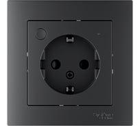 Розетка с заземлением, со шторкой Systeme Electric ATLASDESIGN SMART, Zigbee, L+N, 16 А, мех., КАРБОН ATN001045Z