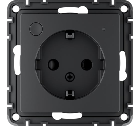 Розетка Systeme Electric ATLASDESIGN SMART с заземлением, со шторками, Zigbee, L+N, 16А, мех., карбон ATN001045Z