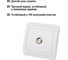 Розетка TDM ELECTRIC TV SAT F-типа белая Валдай SQ1804-0040 4