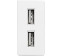 Розетка белая, 1/2, USB A + USB A разъем, 2,4 А, 5 В, модуль, Vell 1379002