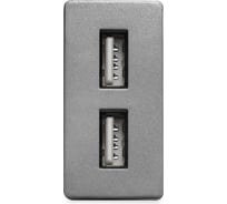 Розетка Vell серая, 1/2, USB A + USB A разъем, 2,4 А, 5 В, модуль, 1379004